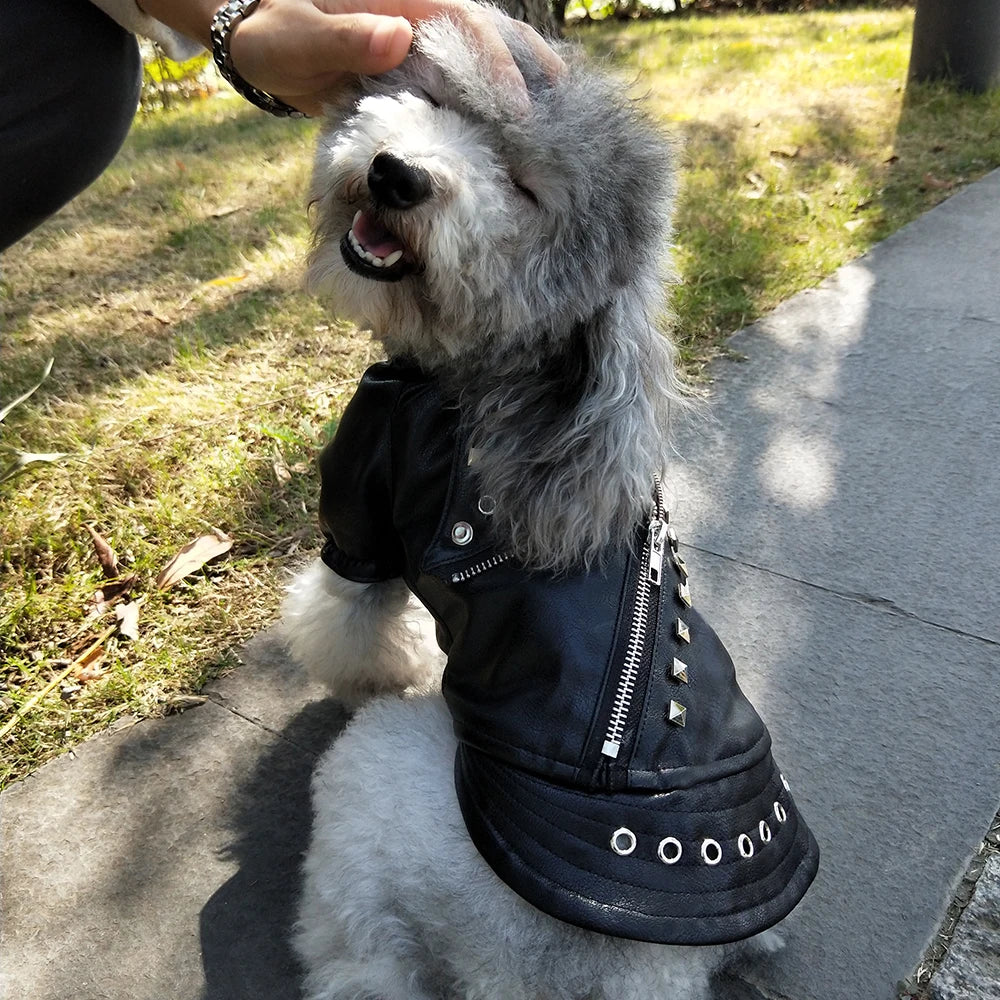 Cool Leather Dog Jacket Coat Warm Winter Dog Clothes French Bulldog Waterproof Pet Clothing Outfit for Small Medium Dogs Black