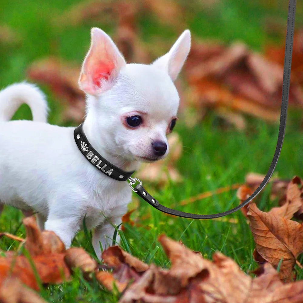 Personalized Dog Collar Leash Set Puppy Kitten Rhinestone Collars Necklace Free Letter Charm For Small Large Dogs Cats ChiHuaHua