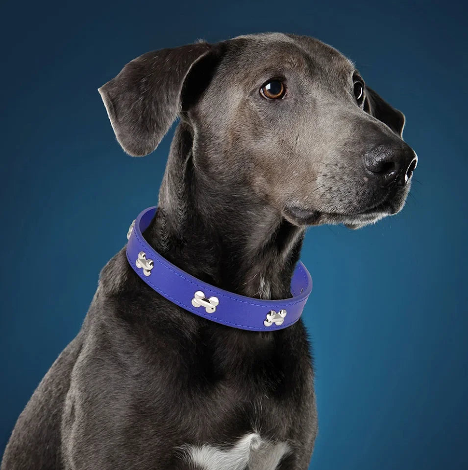 Leather Dog Collar For Big Dogs Cats Adjustable Pet Dog Collar Luxury Designer For Small Dogs Leather Accessories