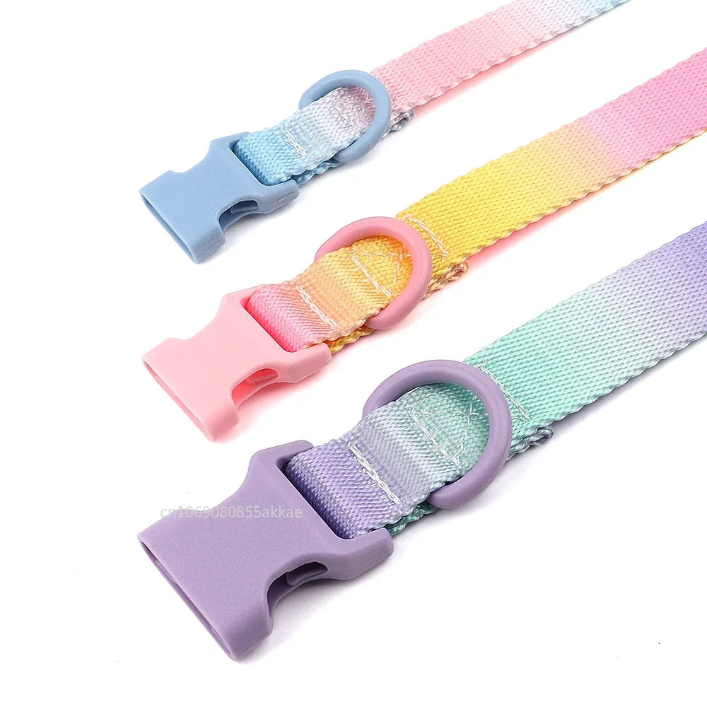 Nylon Dog Collar Adjustable Cat Small Dog Collars Gradient Pet Necklace Fashion Collars Accessories for Small Medium Large Dogs