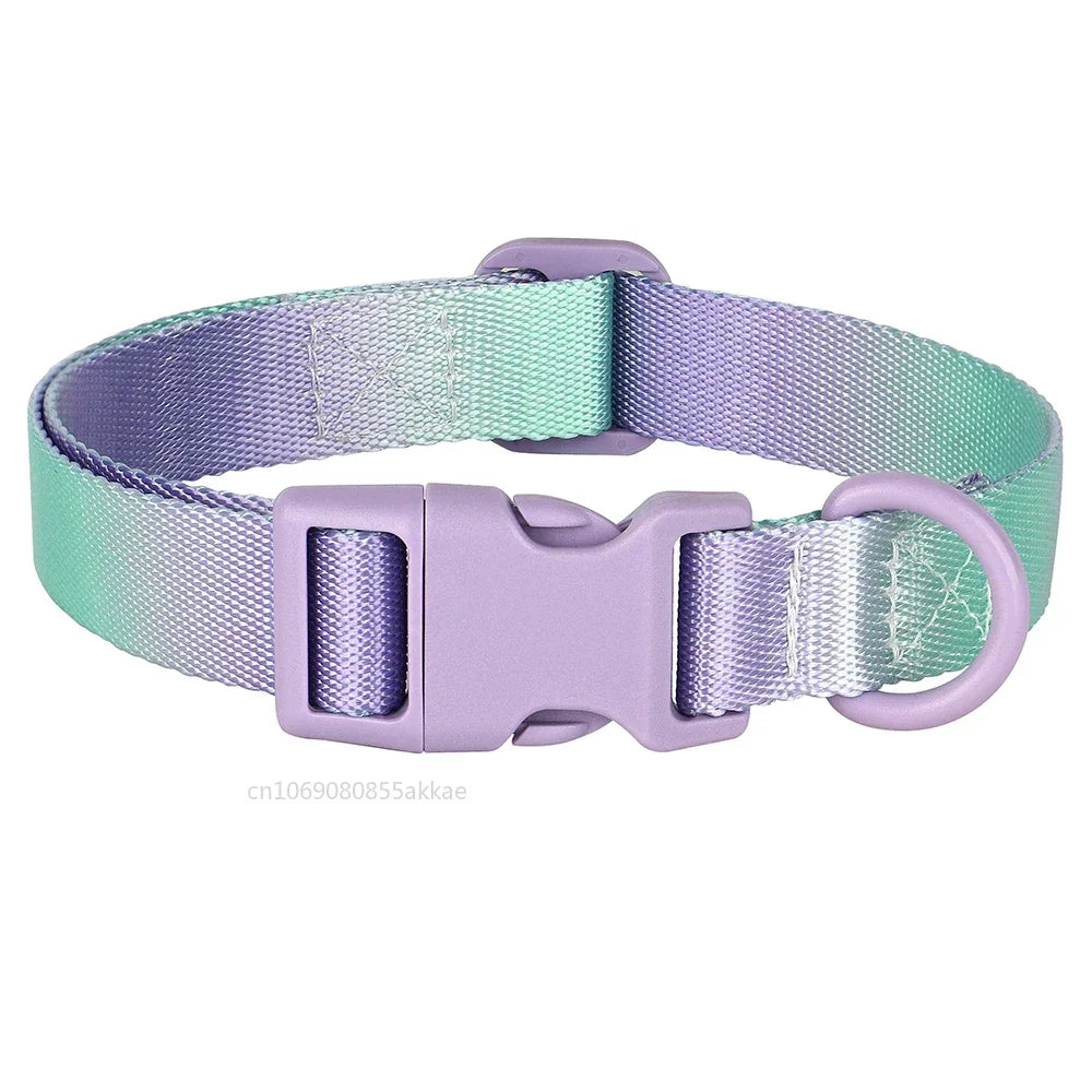 Nylon Dog Collar Adjustable Cat Small Dog Collars Gradient Pet Necklace Fashion Collars Accessories for Small Medium Large Dogs
