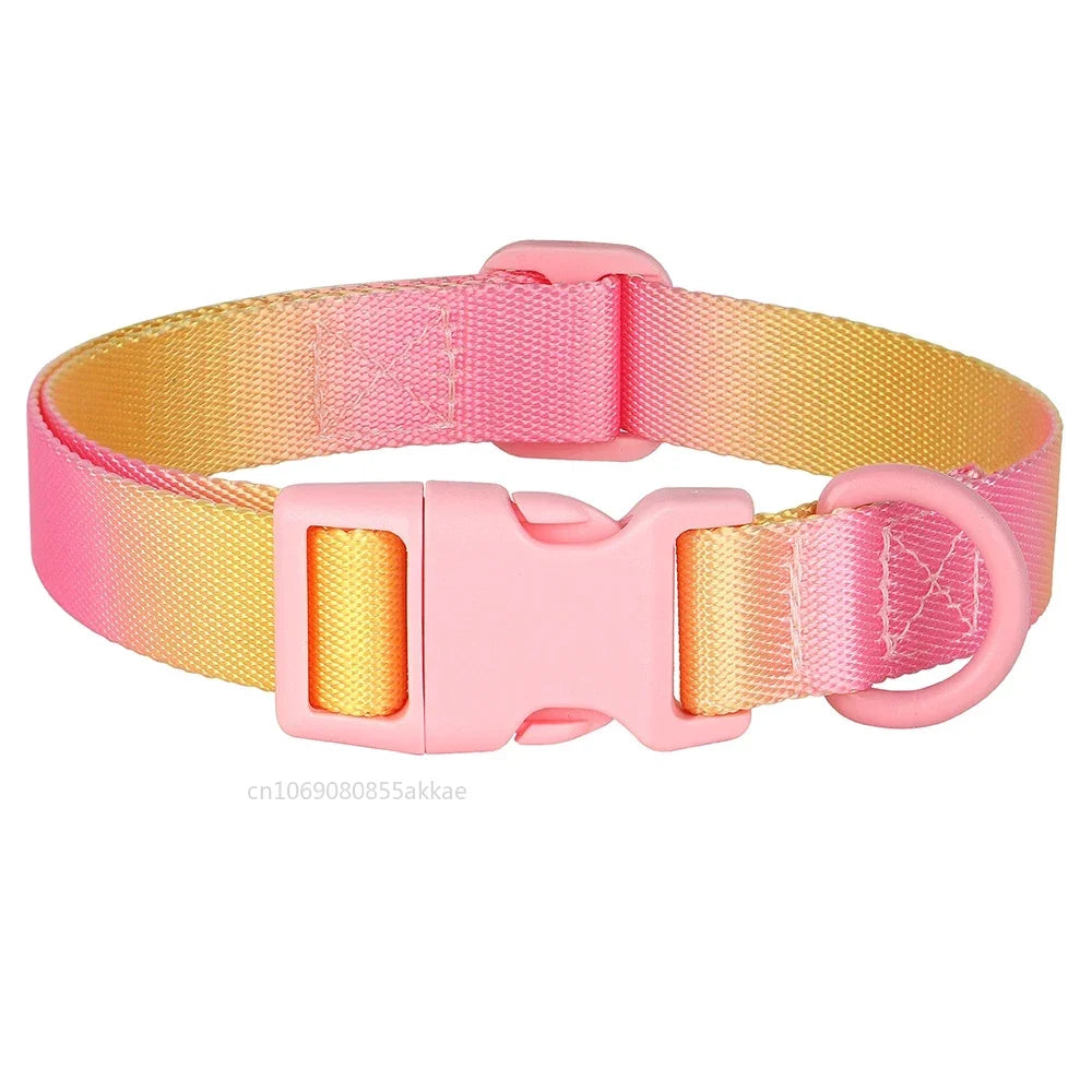 Nylon Dog Collar Adjustable Cat Small Dog Collars Gradient Pet Necklace Fashion Collars Accessories for Small Medium Large Dogs