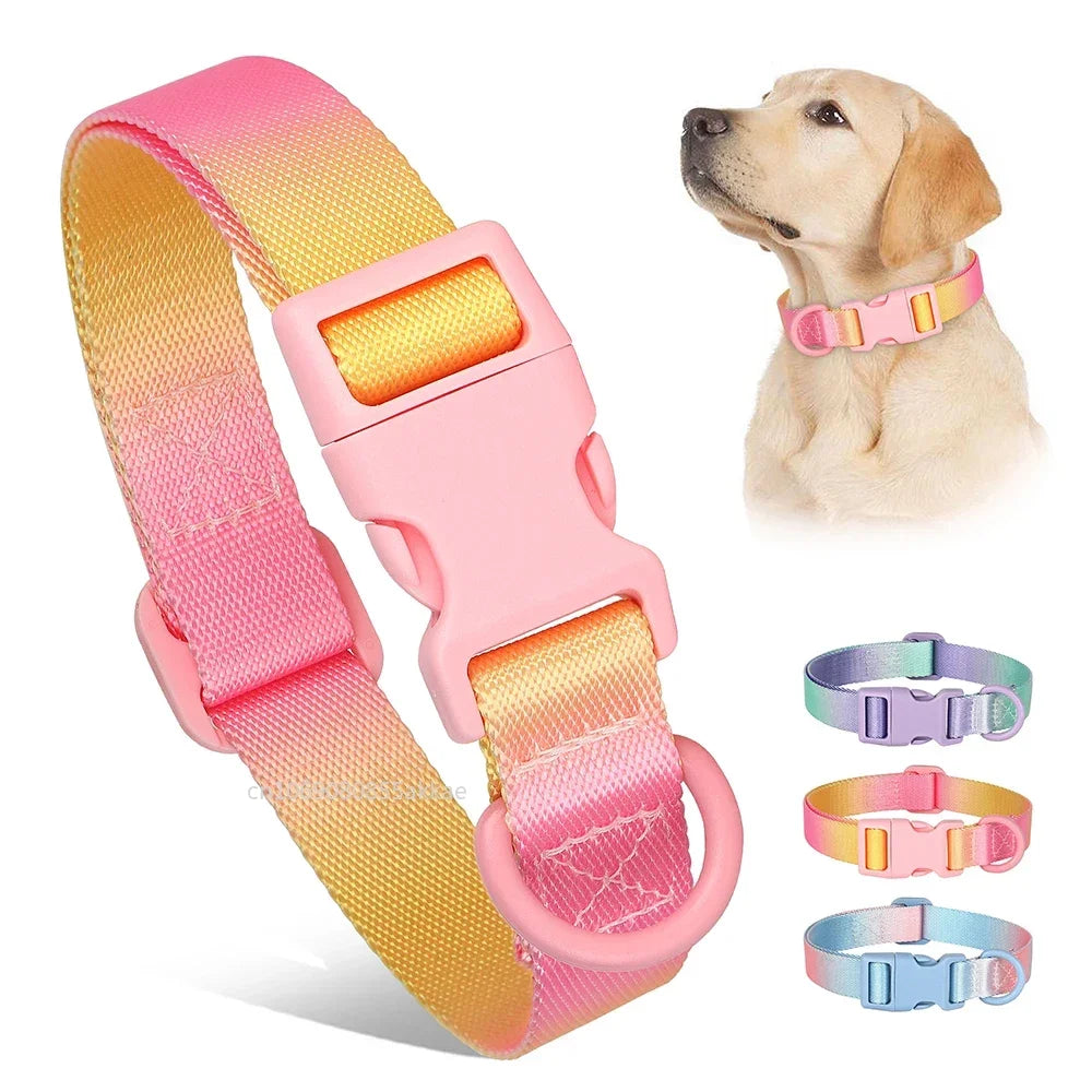 Nylon Dog Collar Adjustable Cat Small Dog Collars Gradient Pet Necklace Fashion Collars Accessories for Small Medium Large Dogs
