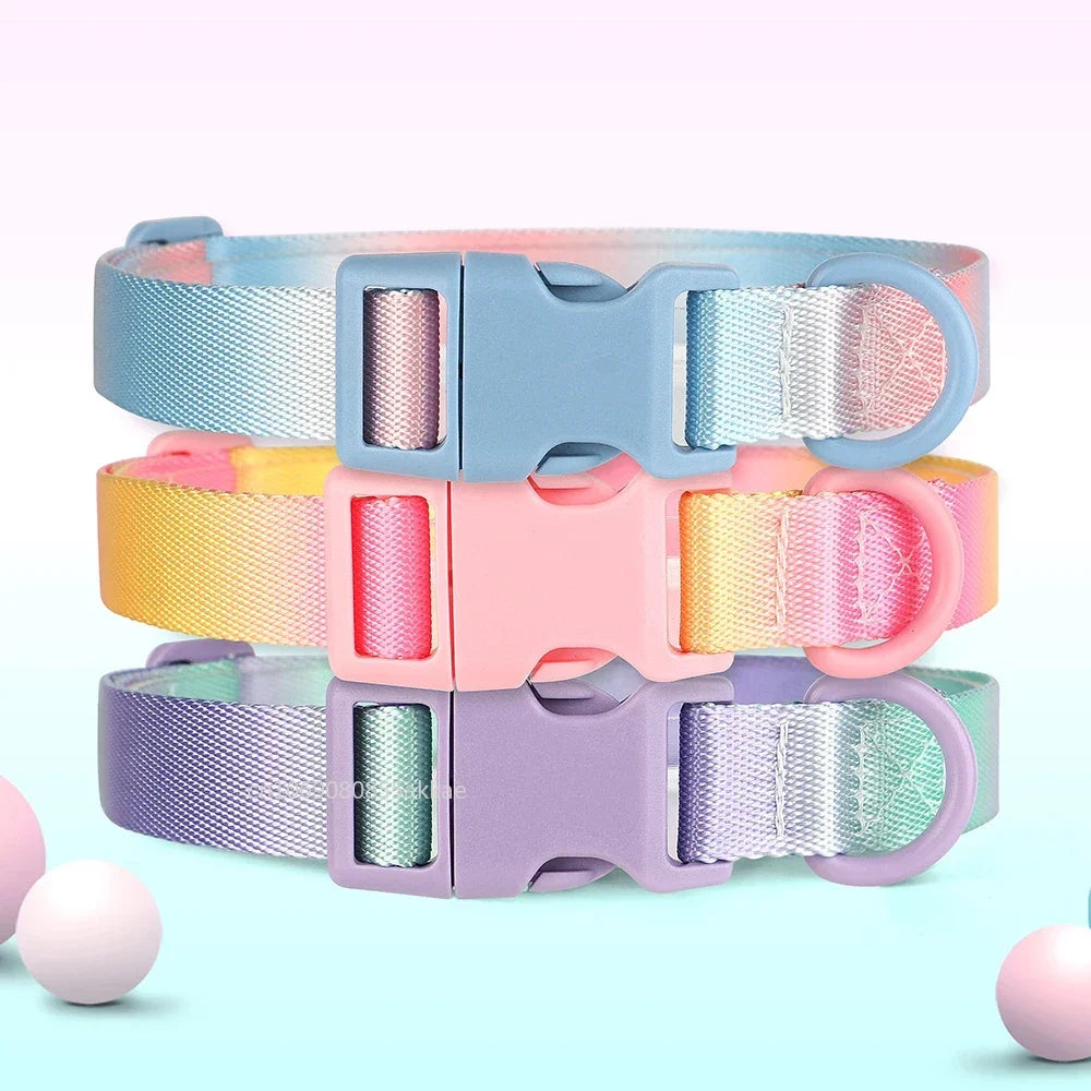 Nylon Dog Collar Adjustable Cat Small Dog Collars Gradient Pet Necklace Fashion Collars Accessories for Small Medium Large Dogs