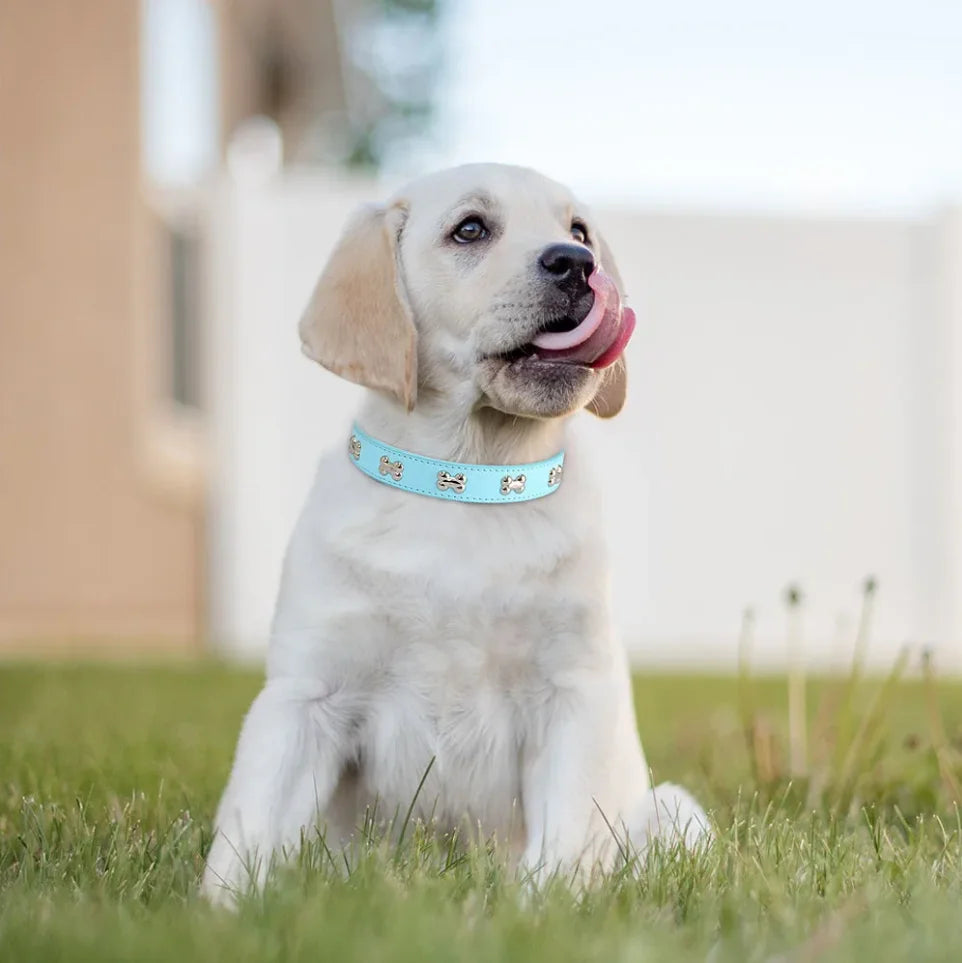 Leather Dog Collar For Big Dogs Cats Adjustable Pet Dog Collar Luxury Designer For Small Dogs Leather Accessories