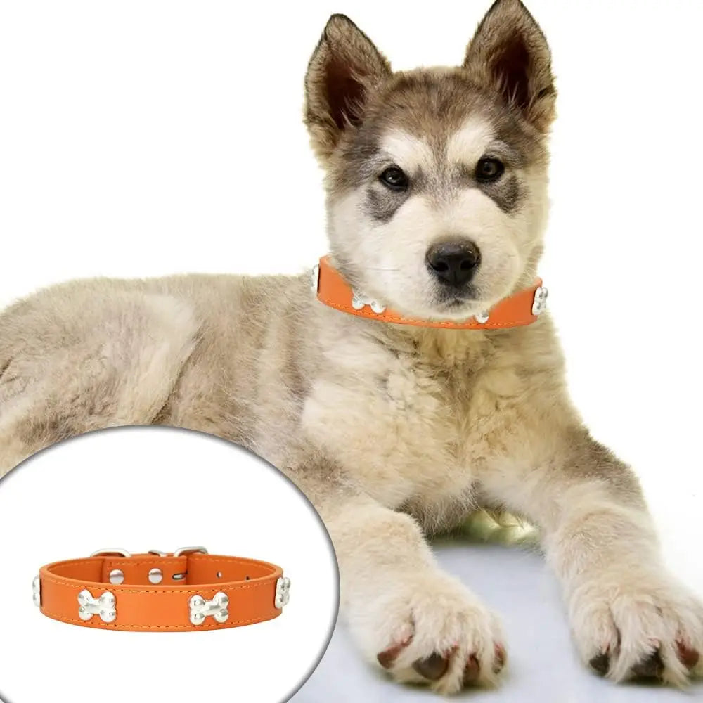 Leather Dog Collar For Big Dogs Cats Adjustable Pet Dog Collar Luxury Designer For Small Dogs Leather Accessories
