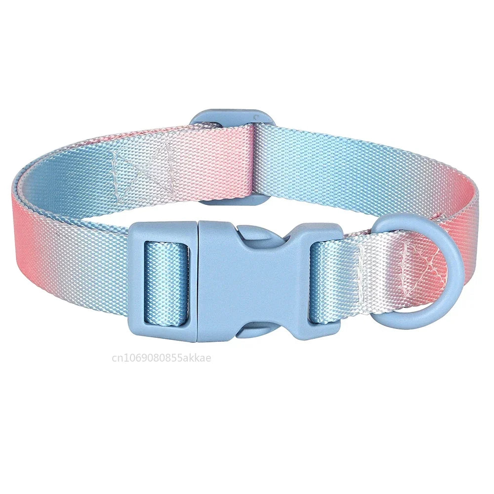 Nylon Dog Collar Adjustable Cat Small Dog Collars Gradient Pet Necklace Fashion Collars Accessories for Small Medium Large Dogs