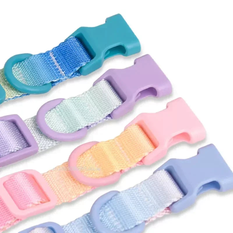 Nylon Dog Collar Adjustable Cat Small Dog Collars Gradient Pet Necklace Fashion Collars Accessories for Small Medium Large Dogs
