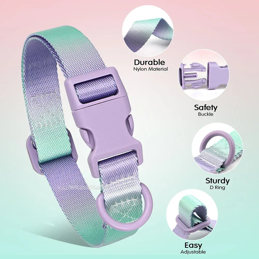 Nylon Dog Collar Adjustable Cat Small Dog Collars Gradient Pet Necklace Fashion Collars Accessories for Small Medium Large Dogs