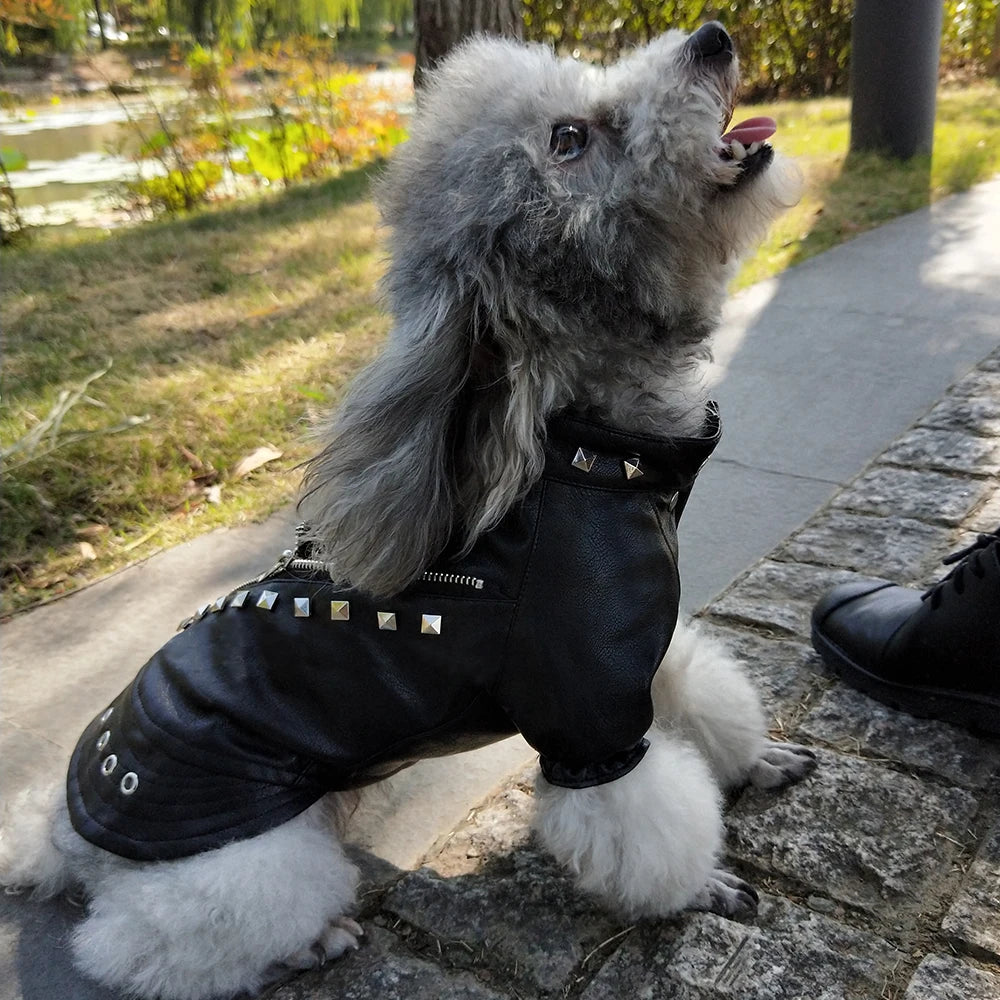 Cool Leather Dog Jacket Coat Warm Winter Dog Clothes French Bulldog Waterproof Pet Clothing Outfit for Small Medium Dogs Black