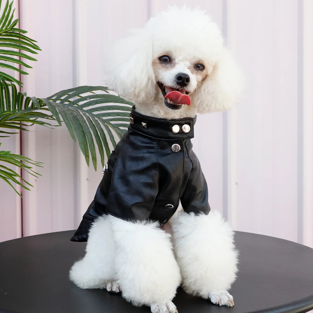 Cool Leather Dog Jacket Coat Warm Winter Dog Clothes French Bulldog Waterproof Pet Clothing Outfit for Small Medium Dogs Black